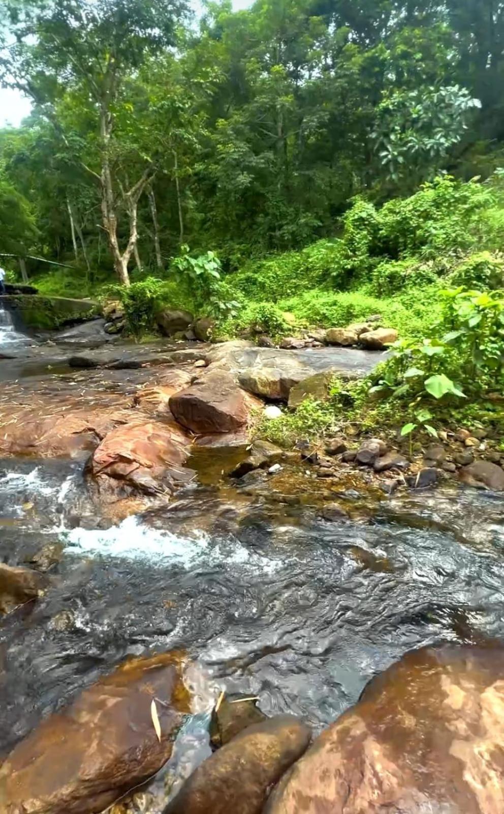 Nest Resorts Athirapalli Kültér fotó